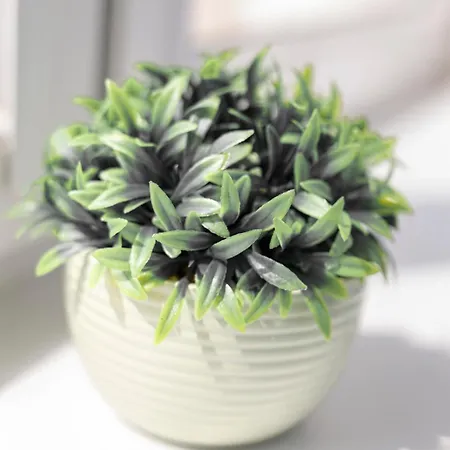 Chic - Center - Great Location - Swidnicka Street Daire