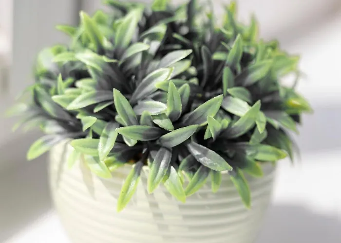 Chic - Center - Great Location - Swidnicka Street Appartement